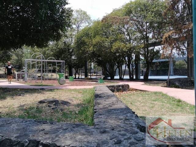 Departamento para Renta en Tlalpan - 5