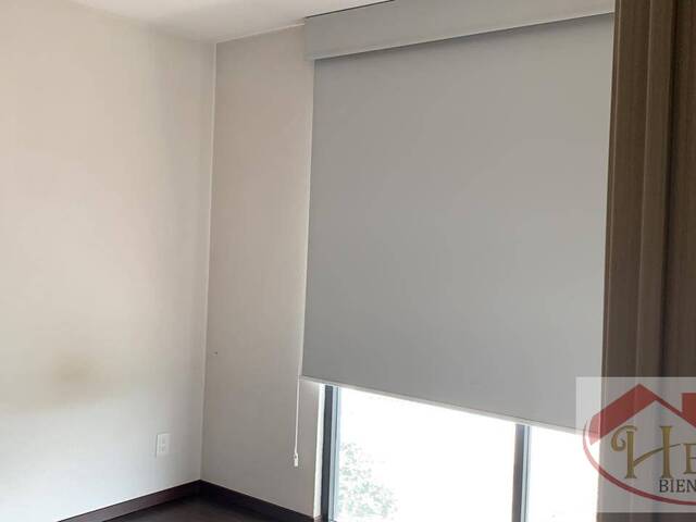 Departamento para Renta en Alvaro Obregón - 4