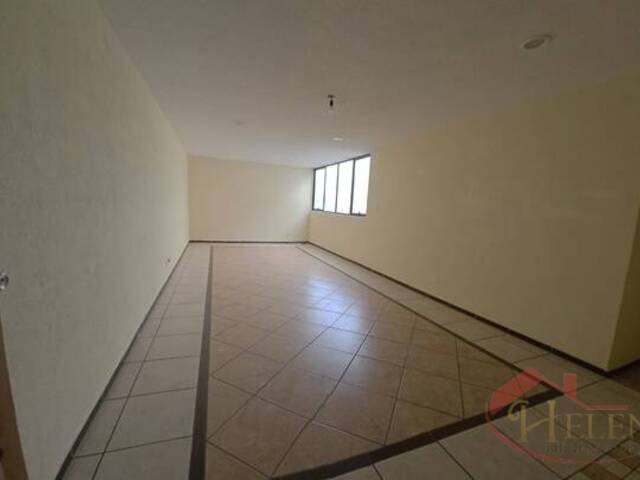 #1062 - Departamento para Renta en Coyoacán - DF - 1