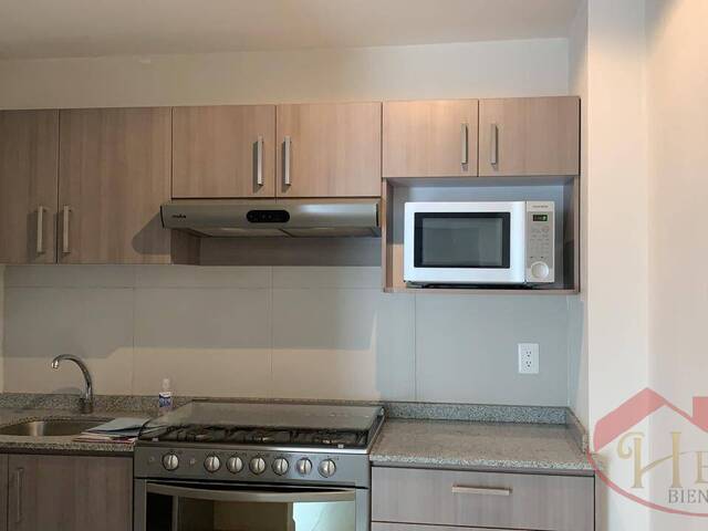 #1174 - Departamento para Renta en Alvaro Obregón - DF - 3
