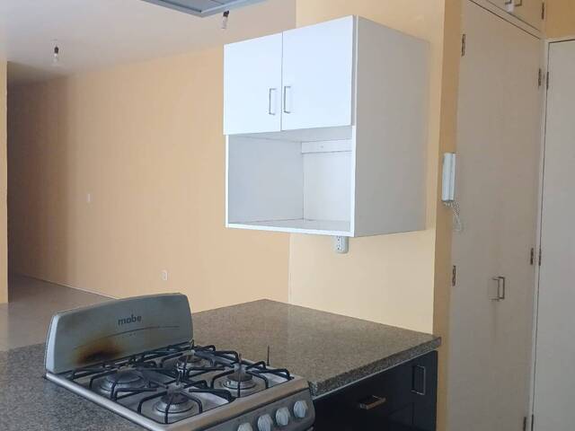 #1209 - Departamento para Renta en Miguel Hidalgo - DF - 3