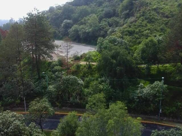 Terreno para Venta en Alvaro Obregón - 4