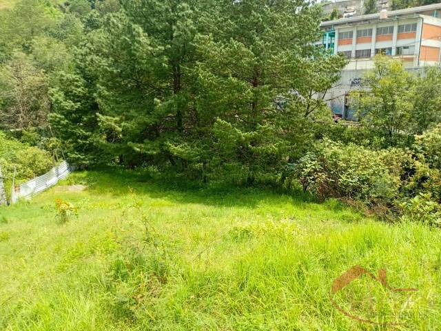 Terreno para Venta en Alvaro Obregón - 5
