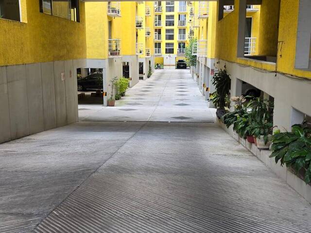 Renta en Pedregal de Santa Úrsula - Coyoacán