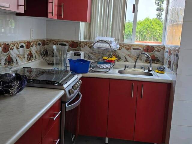 #1369 - Departamento para Renta en Coyoacán - DF - 3