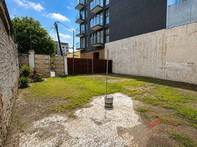 Área para Venta en Benito Juárez - 4